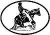 Reining Horse Decal 