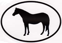 Welsh Pony Decal 